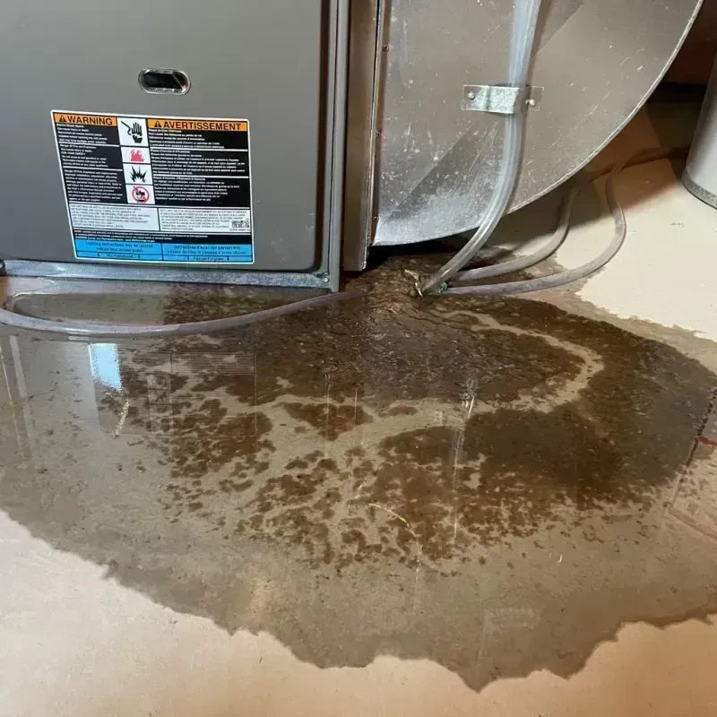 Appliance Leak Cleanup in Rankin, TX